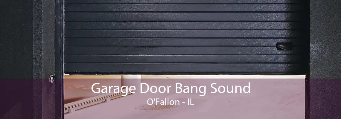 Garage Door Bang Sound O'Fallon - IL