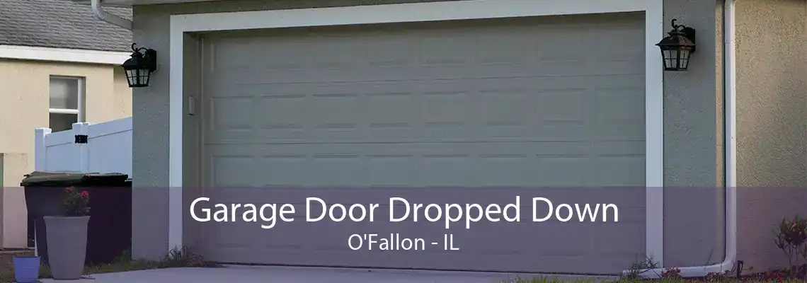 Garage Door Dropped Down O'Fallon - IL