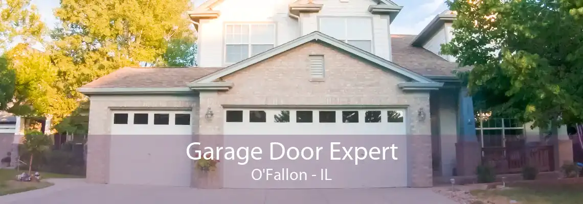 Garage Door Expert O'Fallon - IL