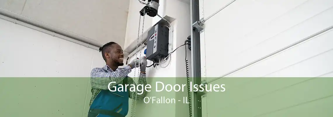 Garage Door Issues O'Fallon - IL