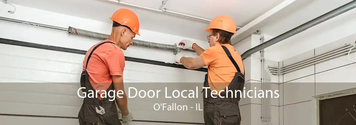 Garage Door Local Technicians O'Fallon - IL