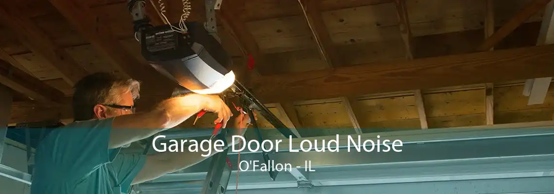 Garage Door Loud Noise O'Fallon - IL