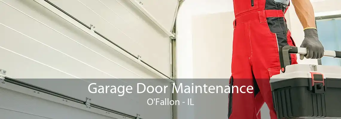 Garage Door Maintenance O'Fallon - IL