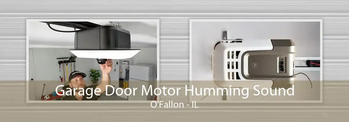 Garage Door Motor Humming Sound O'Fallon - IL