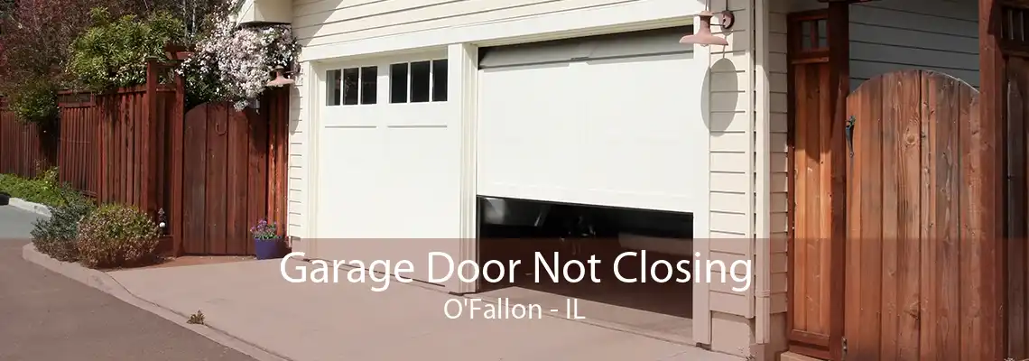 Garage Door Not Closing O'Fallon - IL