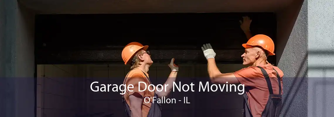 Garage Door Not Moving O'Fallon - IL