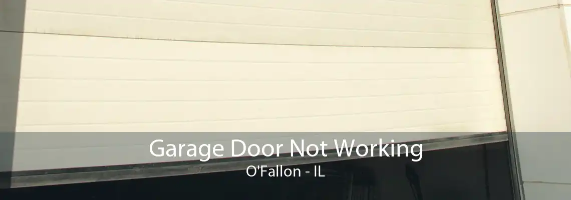 Garage Door Not Working O'Fallon - IL