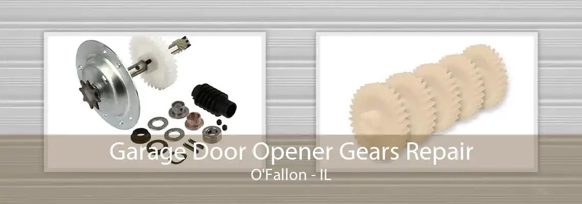 Garage Door Opener Gears Repair O'Fallon - IL