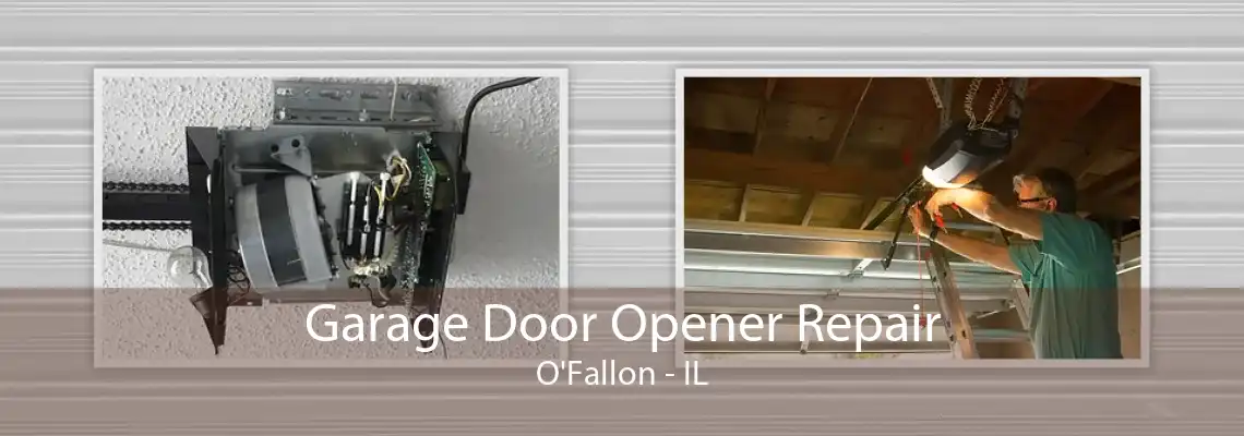 Garage Door Opener Repair O'Fallon - IL