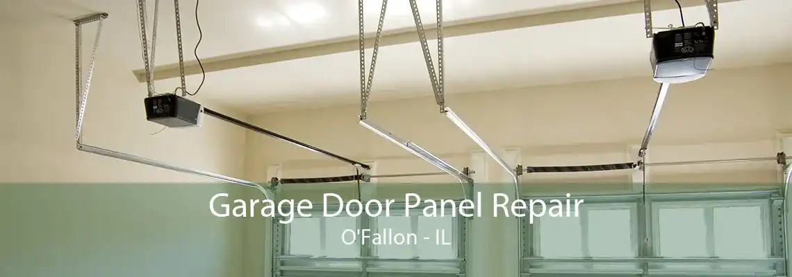 Garage Door Panel Repair O'Fallon - IL