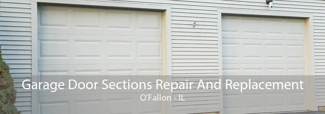 Garage Door Sections Repair And Replacement O'Fallon - IL