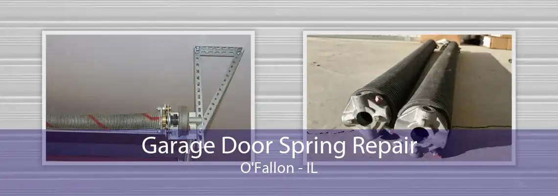 Garage Door Spring Repair O'Fallon - IL