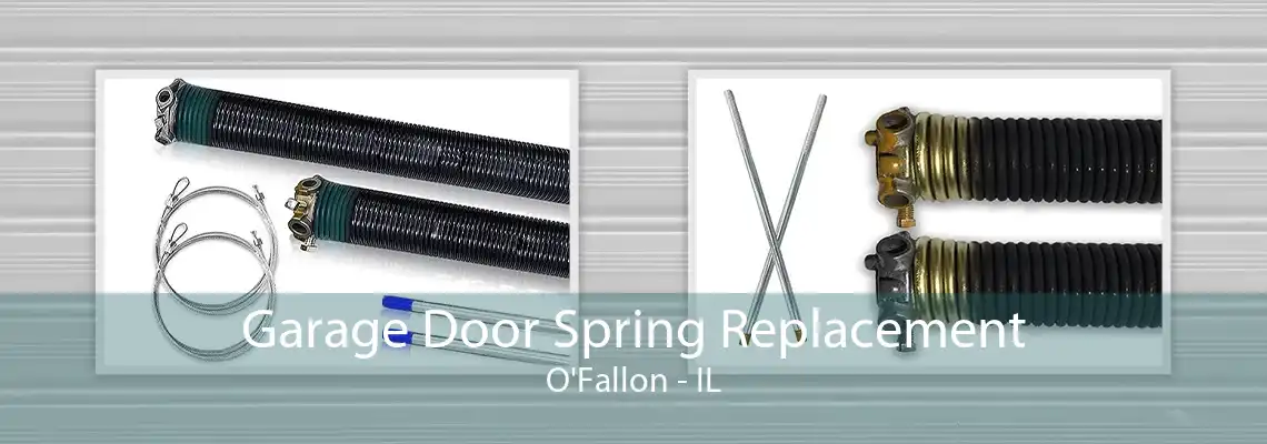 Garage Door Spring Replacement O'Fallon - IL