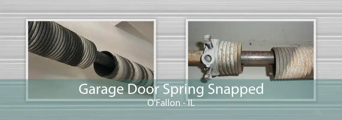 Garage Door Spring Snapped O'Fallon - IL