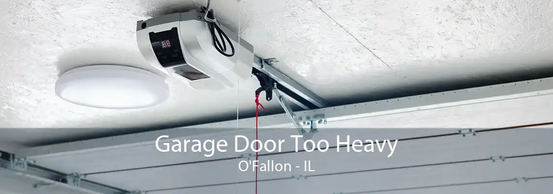 Garage Door Too Heavy O'Fallon - IL