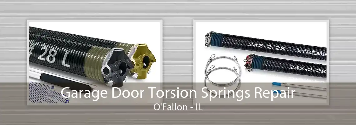 Garage Door Torsion Springs Repair O'Fallon - IL