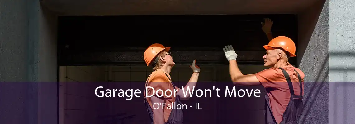 Garage Door Won't Move O'Fallon - IL