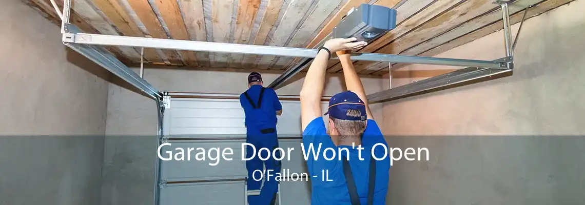 Garage Door Won't Open O'Fallon - IL