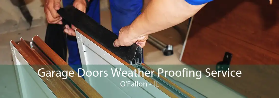 Garage Doors Weather Proofing Service O'Fallon - IL