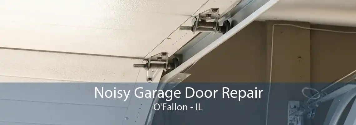 Noisy Garage Door Repair O'Fallon - IL