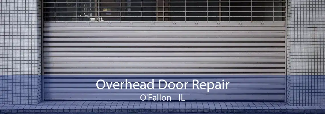 Overhead Door Repair O'Fallon - IL