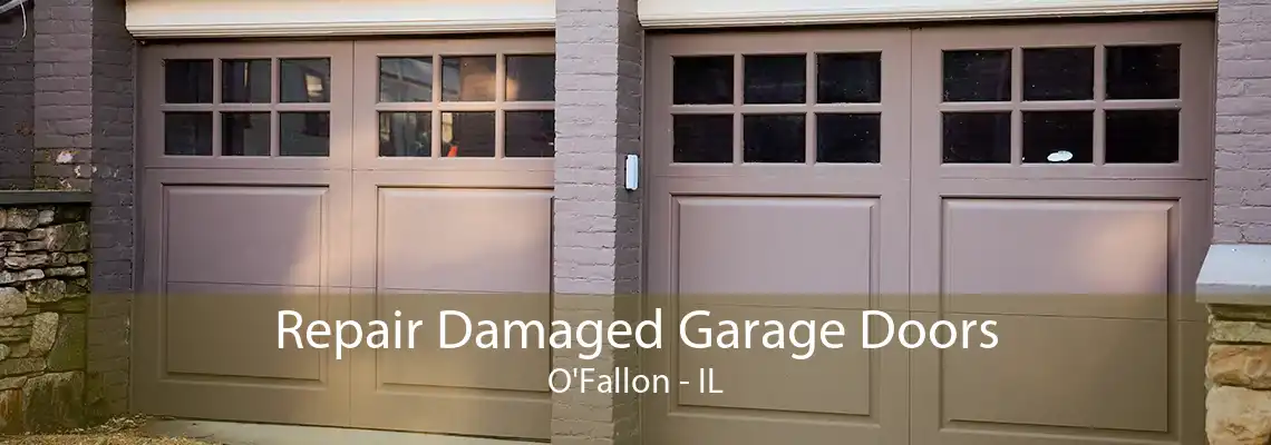 Repair Damaged Garage Doors O'Fallon - IL