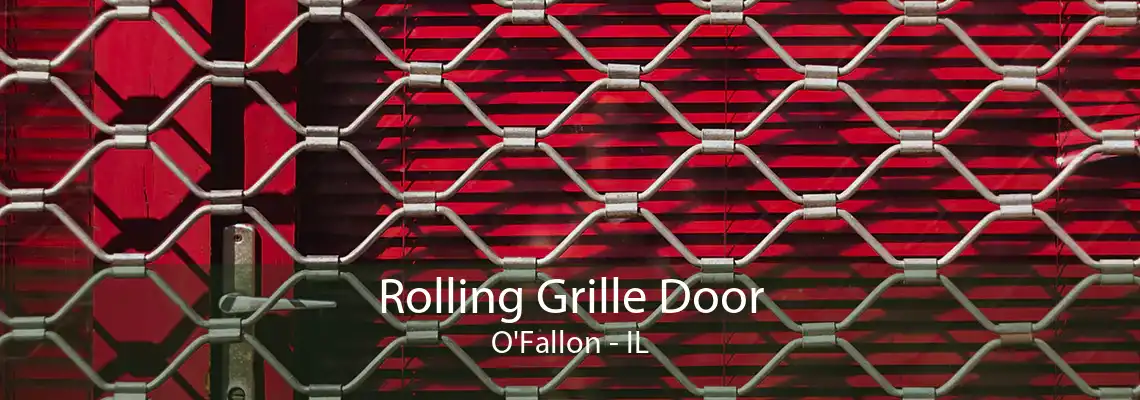 Rolling Grille Door O'Fallon - IL