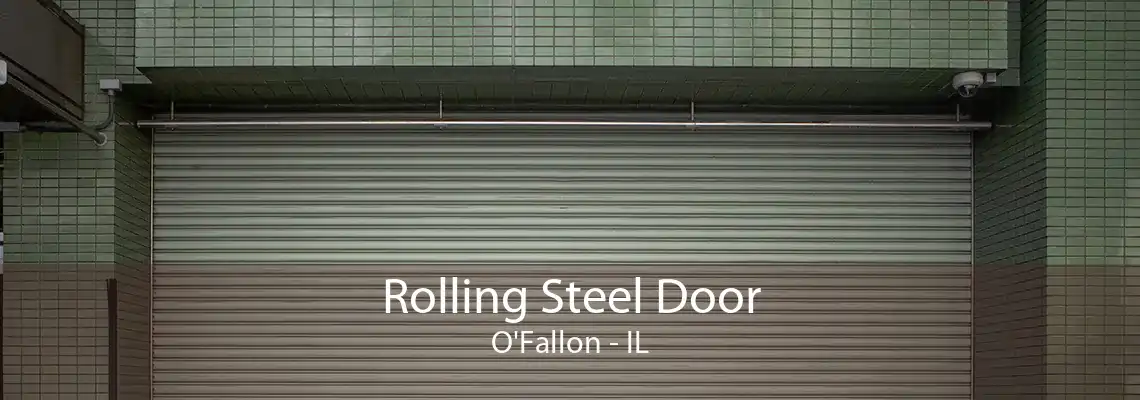 Rolling Steel Door O'Fallon - IL