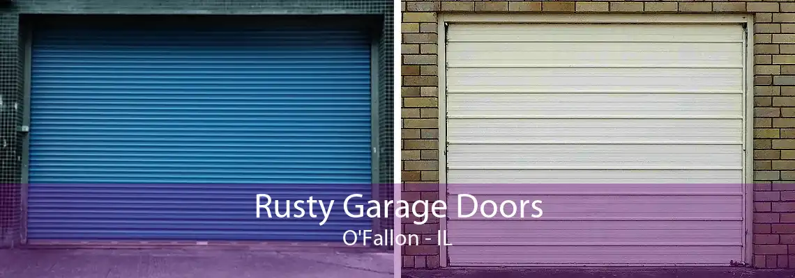 Rusty Garage Doors O'Fallon - IL