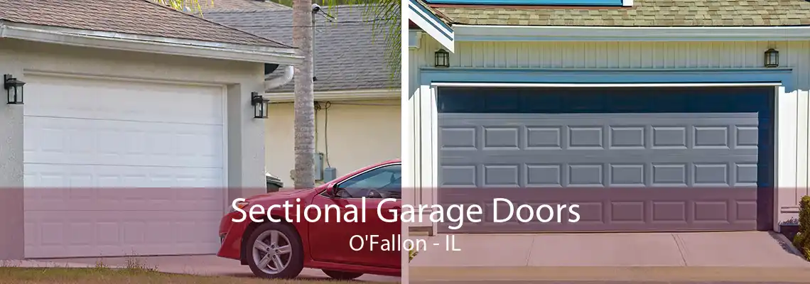 Sectional Garage Doors O'Fallon - IL